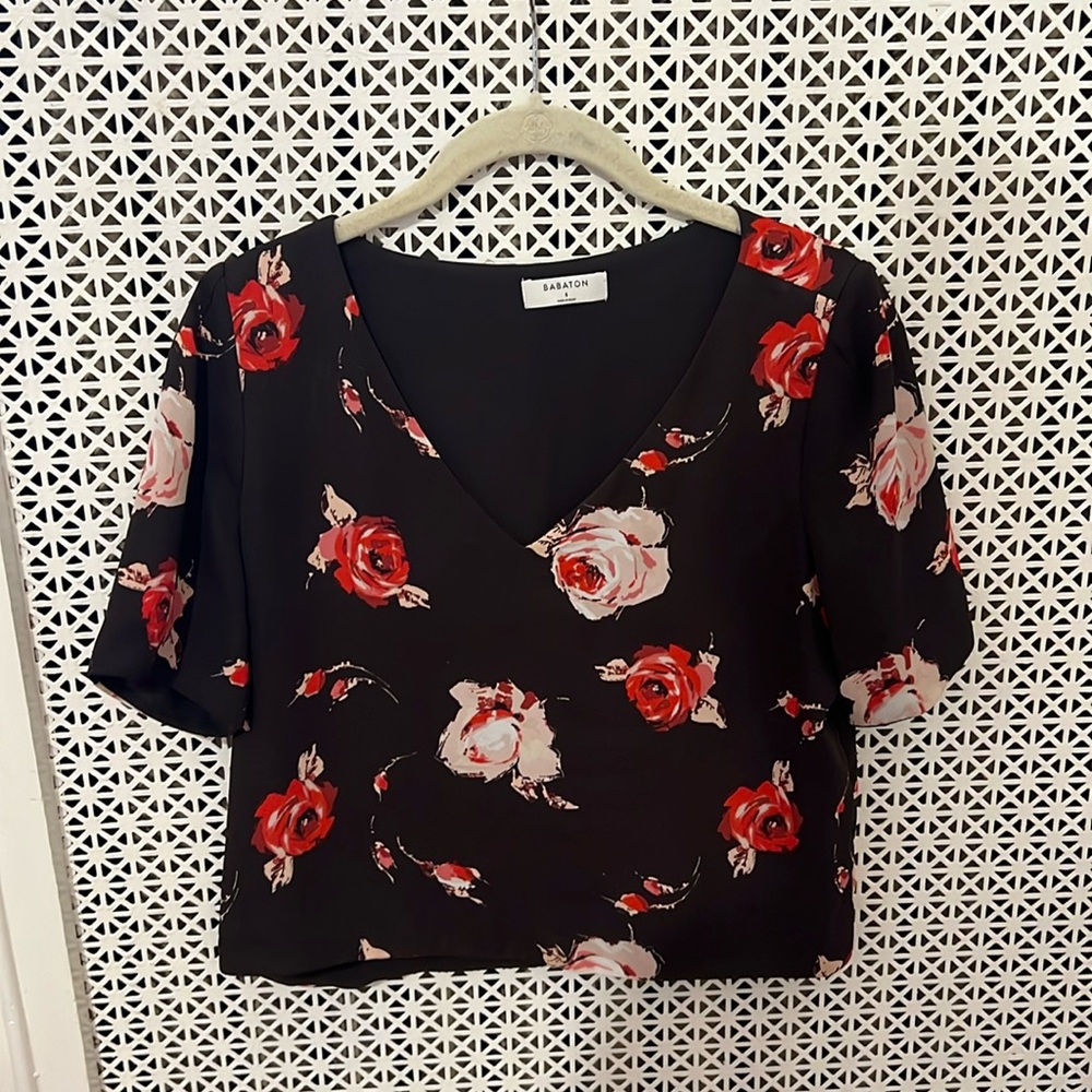 Aritzia Blouse